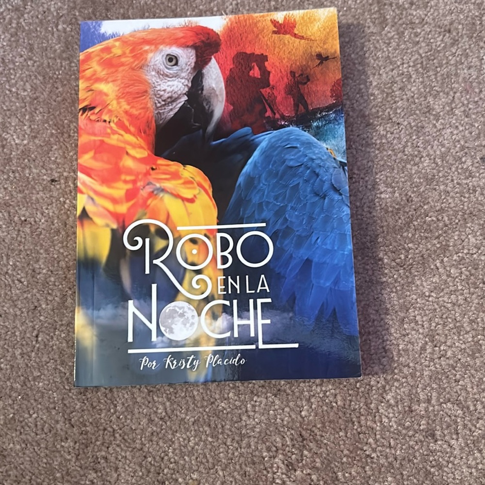 robo enla noche